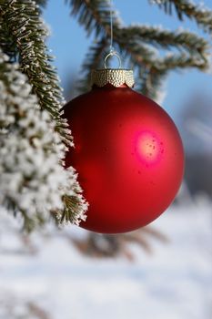 a red bauble in snowy winter landscape