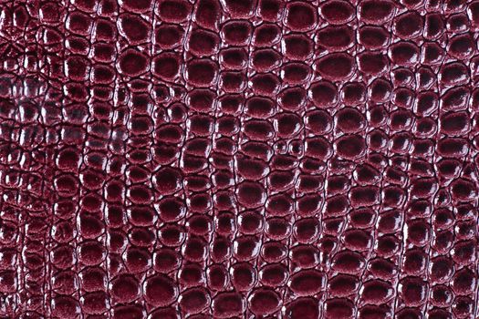 Closeup view of curried red crocodile leather