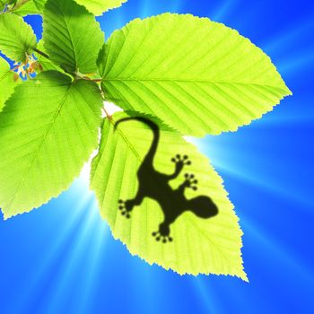 tropical background with leaf and gecko or lizard animal