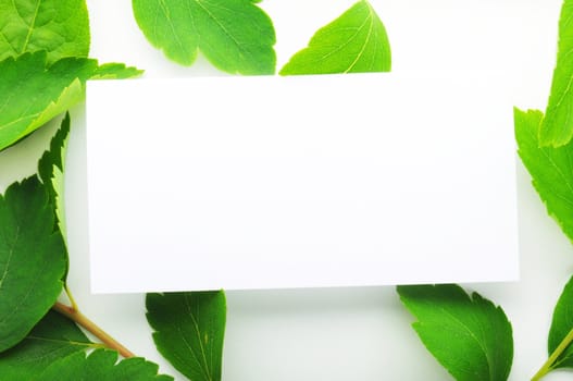 blank paper card with copyspace and green nature