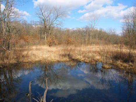 Beautiful early spring day at a small pond at Kickapoo State Park - Illinois.