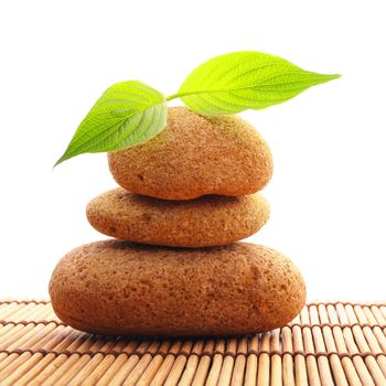 zen stones with green leaves and copyspace showing wellness