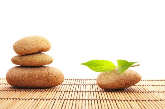 spa still life with zen stone and green leaf