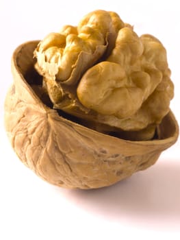 close up of a walnut
