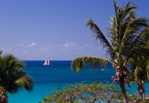 Boat sails between palm trees in the US Virgin Islands
