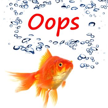 oops word and goldfish showing accident failure or danger danger warning concept