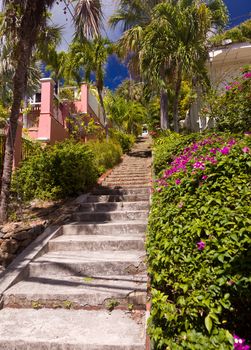 Steps up the steep hill town of Charlotte Amalie in St Thomas