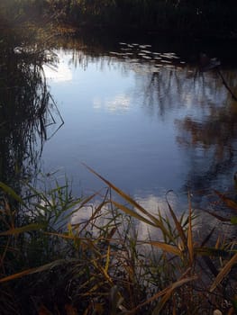 Wild wood river, nature of Bashkortostan, Russia