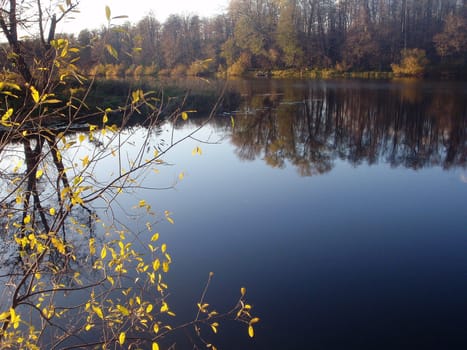 Wild wood river, nature of Bashkortostan, Russia