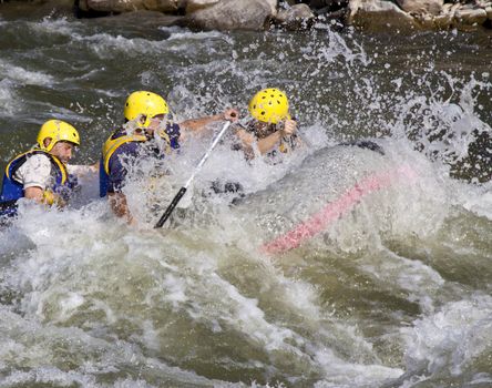 Group of four men whitewater rafting in river