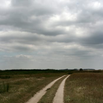 landscape with sky and grass in summer