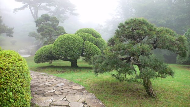 beautiful misty japanese park in summer time