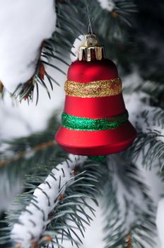 Christmas decoration hanging on snow covered spruce tree outside