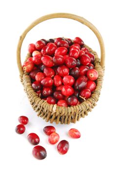 Fresh red cranberries in basket on white background