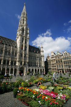 Saturday flower market in front of City Hall, in Grand Place Brussels Belgium.
