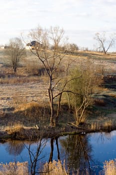 Non-urban lanscape with leafless trees, grass and river
