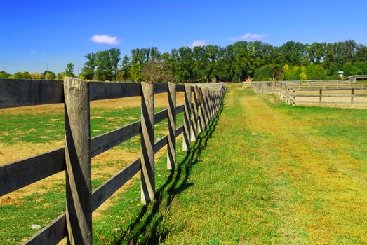 Wooden farm fence and road in rural Ontario, Canada.