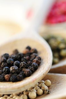 Different kinds of peppercorns in wooden cooking spoons macro