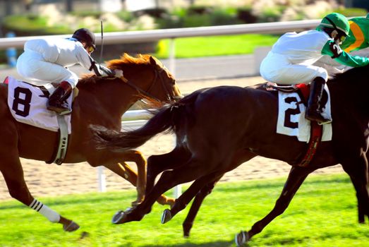Jockeys racing thoroughbred horses on a turf racetrack