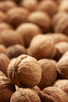 vertical macro pic: lots of walnuts