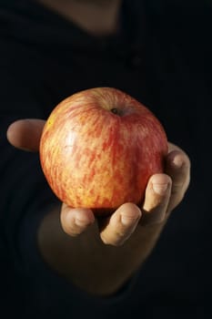 fresh ripe apple in the man's hand
