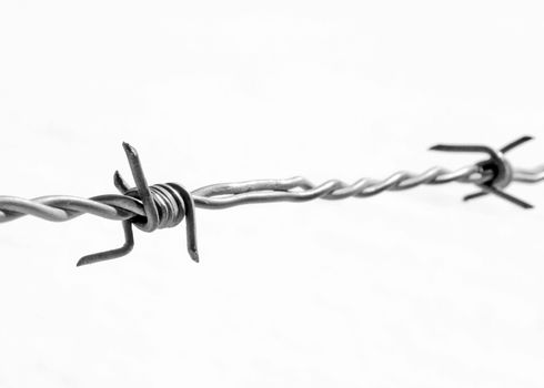 Barbed wires on a white background