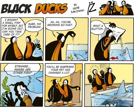 Black Ducks Comic Strip episode 49