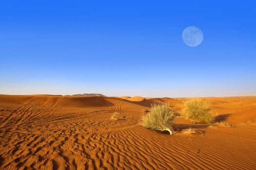 Sand dunes and moon in the Dubai desert