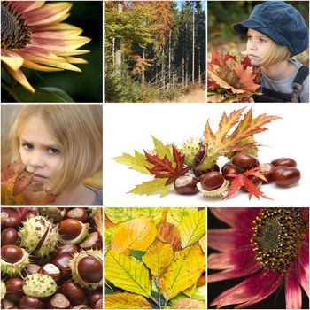 Autumn collage with different autumn pictures