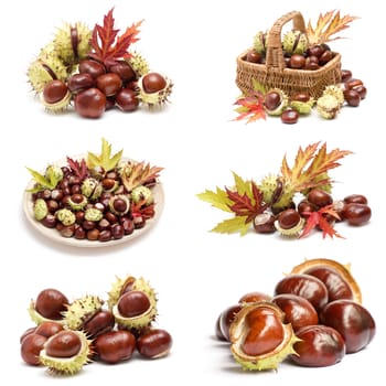 collection of chestnuts and autumnal leaves