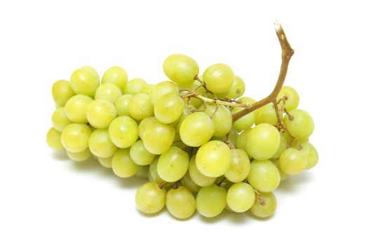 A branch of grapes isolated on white background