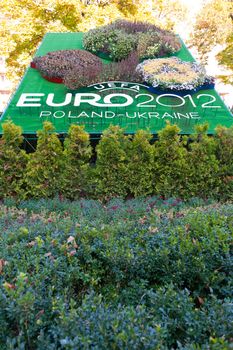 Composition from colors and grasses euro 2012. The championship of the Europe on football