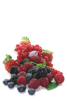 different berries on a white background