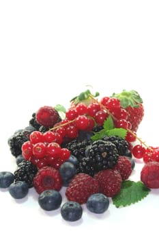 different berries on a white background