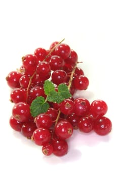 fresh red currant with leaf on a white background