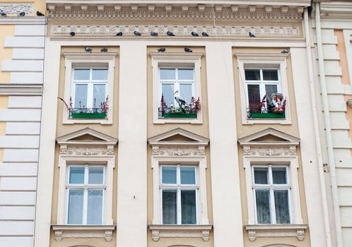 Facade of a building with windows. The building is constructed 1850-1890