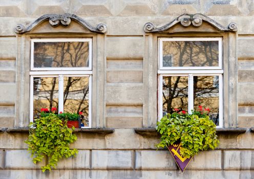 Facade of a building with windows. The building is constructed 1850-1890