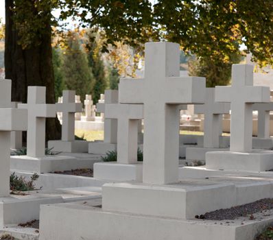 Military cemetery. Since its creation in 1787 Lychakiv Cemetery Lvov, Ukraine