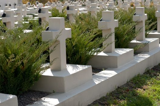 Military cemetery. Since its creation in 1787 Lychakiv Cemetery Lvov, Ukraine