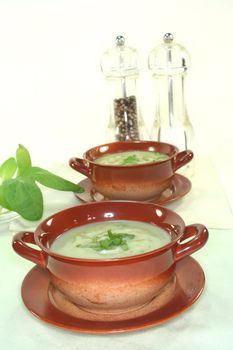 Wild herb soup with Sorrel and fresh herbs on a light background