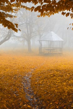 summer house in foggy forest. Autumn weather