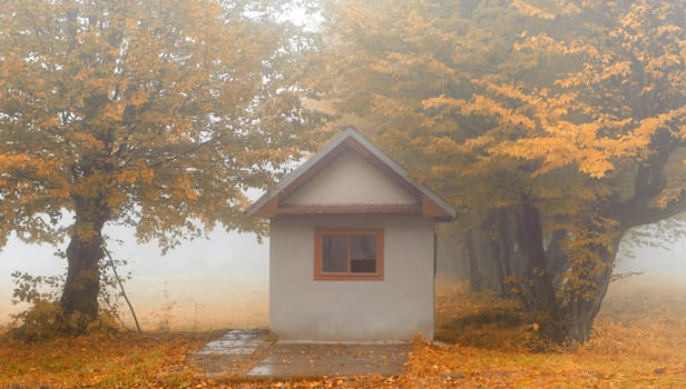 Small house in foggy forest. Autumn weather