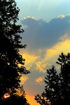 Colorful sunrise clouds framed with oak trees