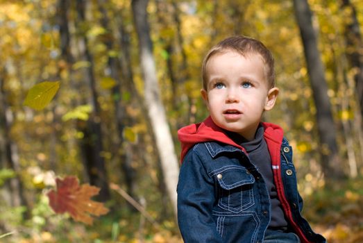 Cute boy and falling leaves in a forest