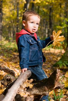 Cute boy and falling leaves in a forest