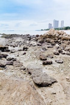 Beaches, rocky areas. The sea east of Thailand.