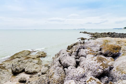 Beaches, rocky areas. The sea east of Thailand.