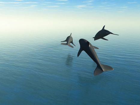 Three dolphins above the sea. 3d rendering.The rear view