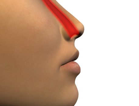 head cold. 3d the image of a fragment of the female person, with an abstract inflammation of pass of a nose