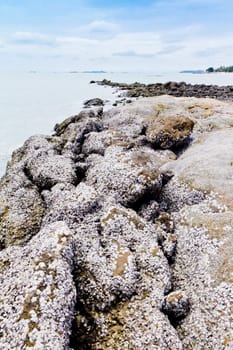 Beaches, rocky areas. The sea east of Thailand.